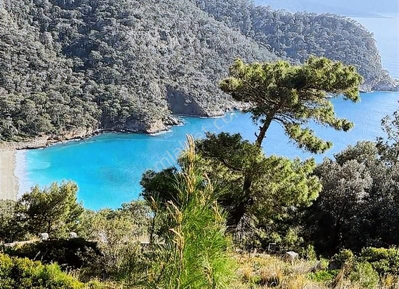Faralya Kabakta Satılık Tarla - Görsel 19