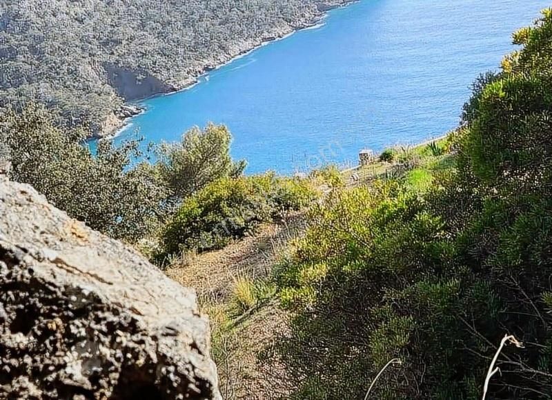 Faralya Kabakta Satılık Tarla - Görsel 15