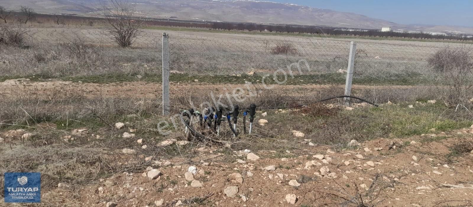 Akçadağ Bahri Satılık Tarla Çatyol'da Bahri'de Satılık Bahçe Almak İstiyorsan Beni Ara