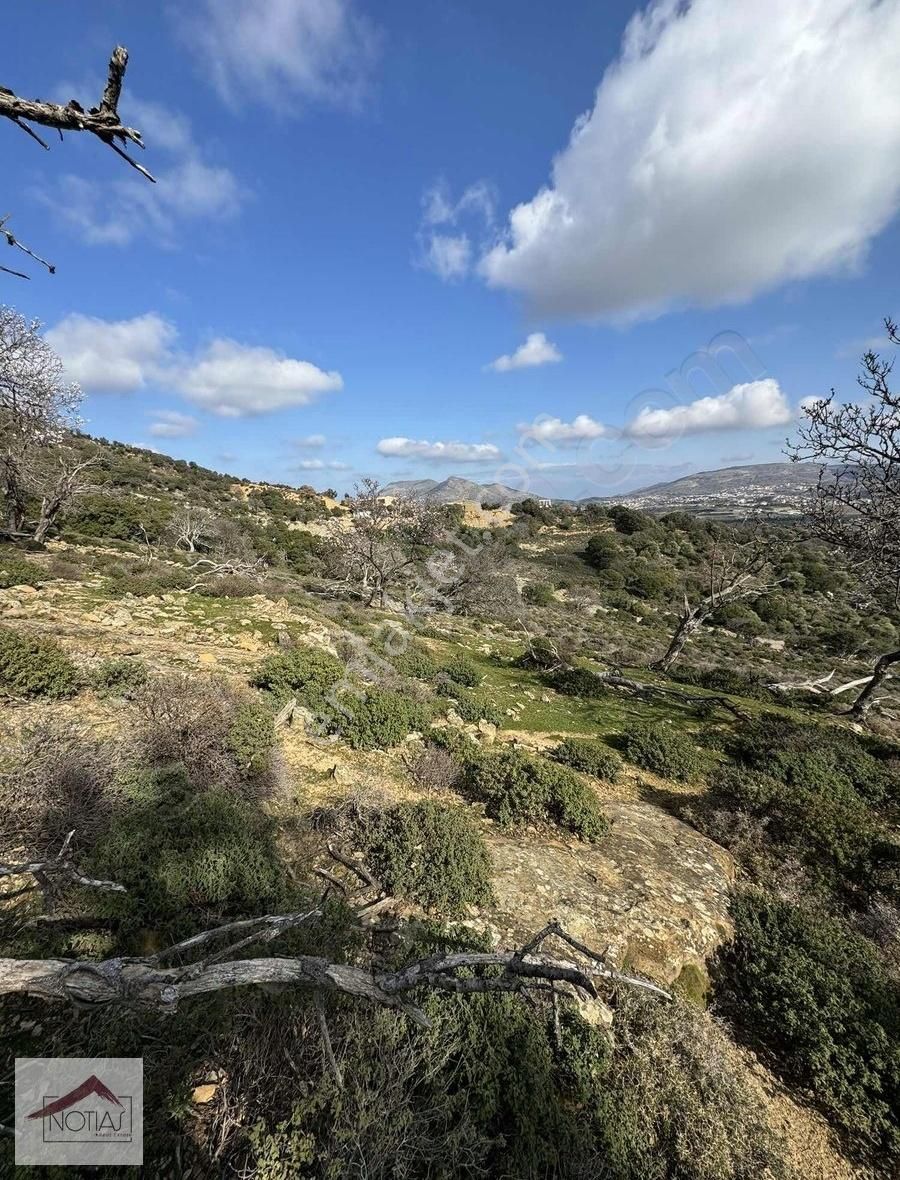 Notıas Real Estate Gayrimenkul'den Zeytinliköy'de Dam - Görsel 3