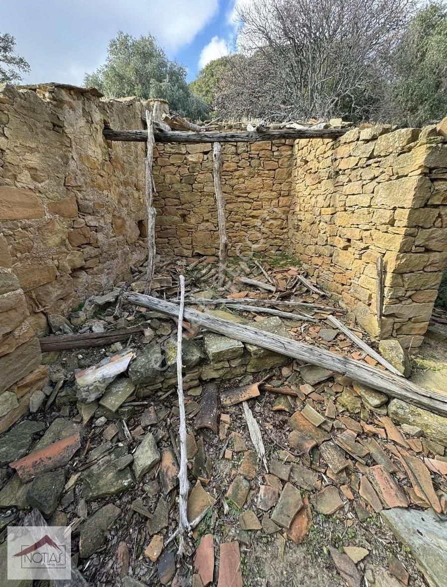 Notıas Real Estate Gayrimenkul'den Zeytinliköy'de Dam - Görsel 4