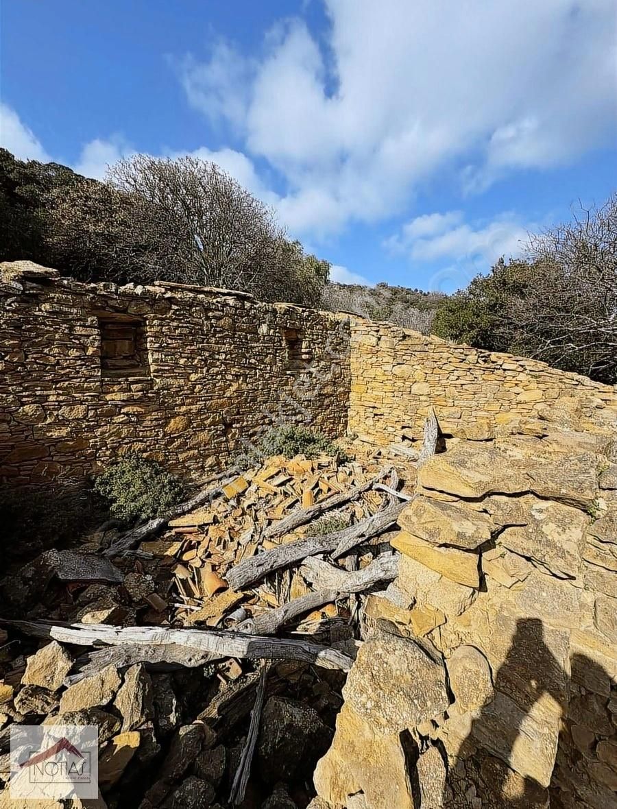 Notıas Real Estate Gayrimenkul'den Zeytinliköy'de Dam - Görsel 18