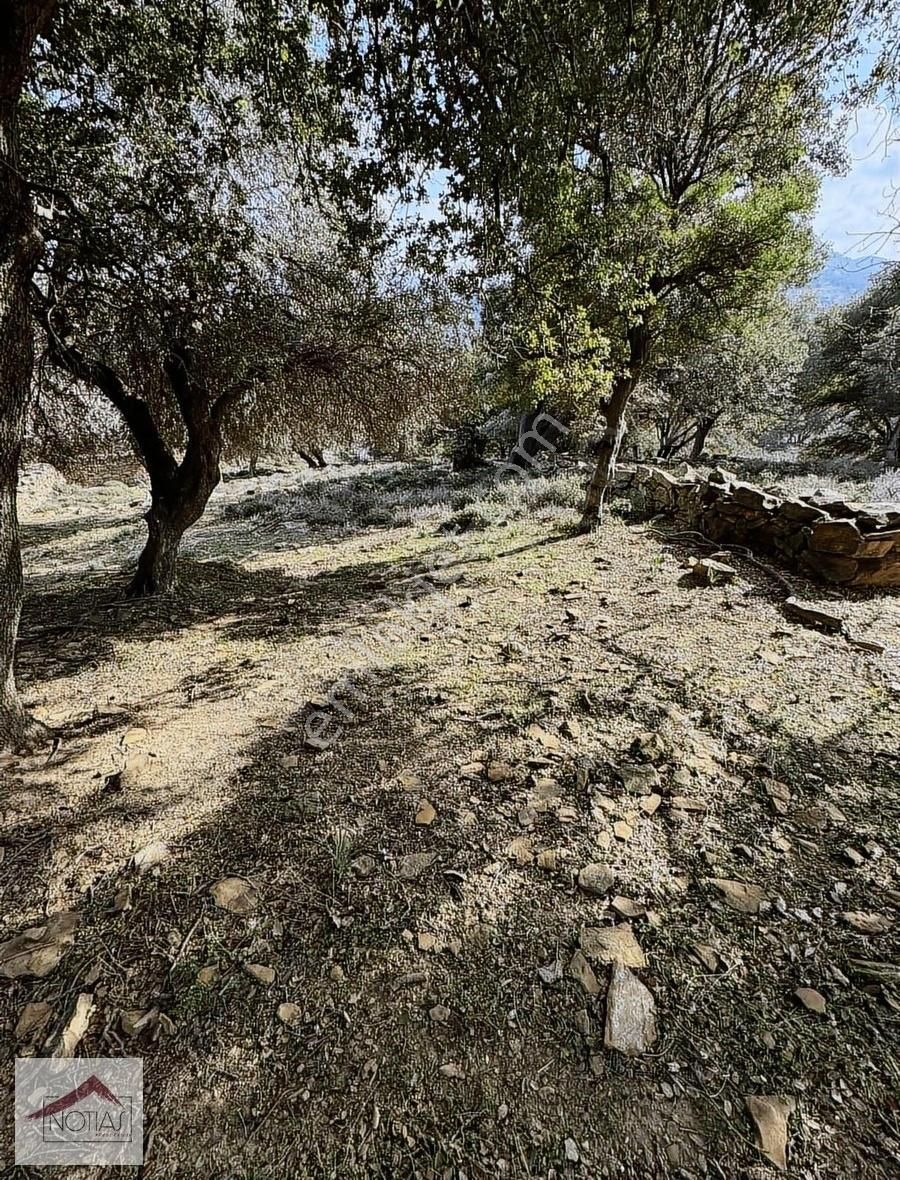 Notıas Real Estate Gayrimenkul'den Zeytinliköy'de Dam - Görsel 19