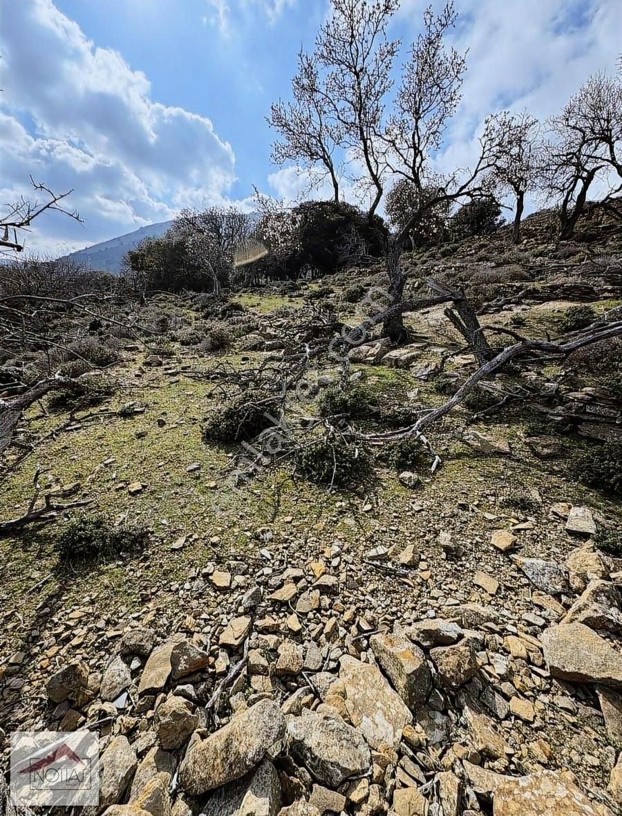 Notıas Real Estate Gayrimenkul'den Zeytinliköy'de Dam - Görsel 16