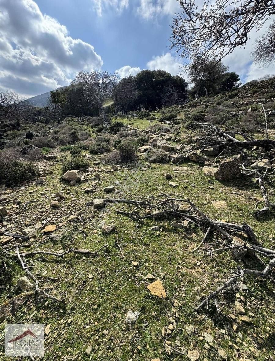 Notıas Real Estate Gayrimenkul'den Zeytinliköy'de Dam - Görsel 21