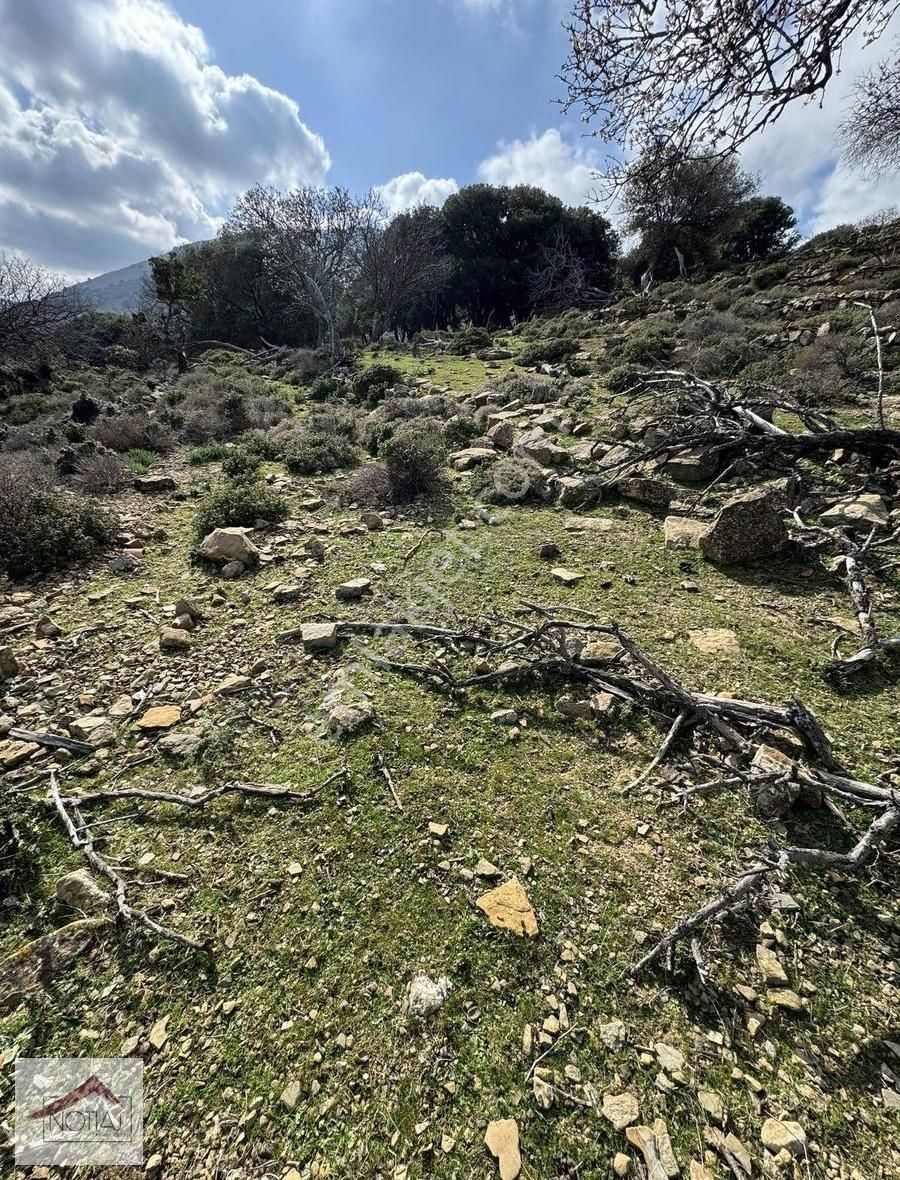 Notıas Real Estate Gayrimenkul'den Zeytinliköy'de Dam - Görsel 15