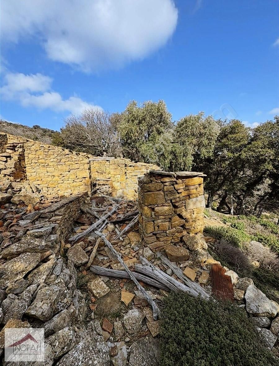 Notıas Real Estate Gayrimenkul'den Zeytinliköy'de Dam - Görsel 7