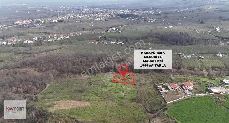 Karapürçek Mesudiye Satılık Tarla Kwpoınt Sakarya/karapürçek/mesudiye Yatırımlık 1.989 M² Tarla