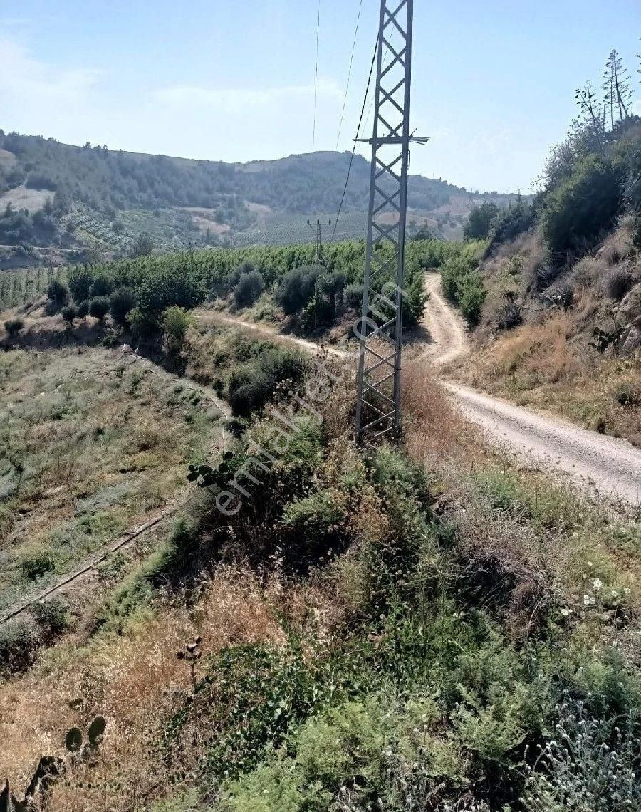 Tarsus Kumdere Satılık Bağ & Bahçe Araç Takasılı Kupon Arsa