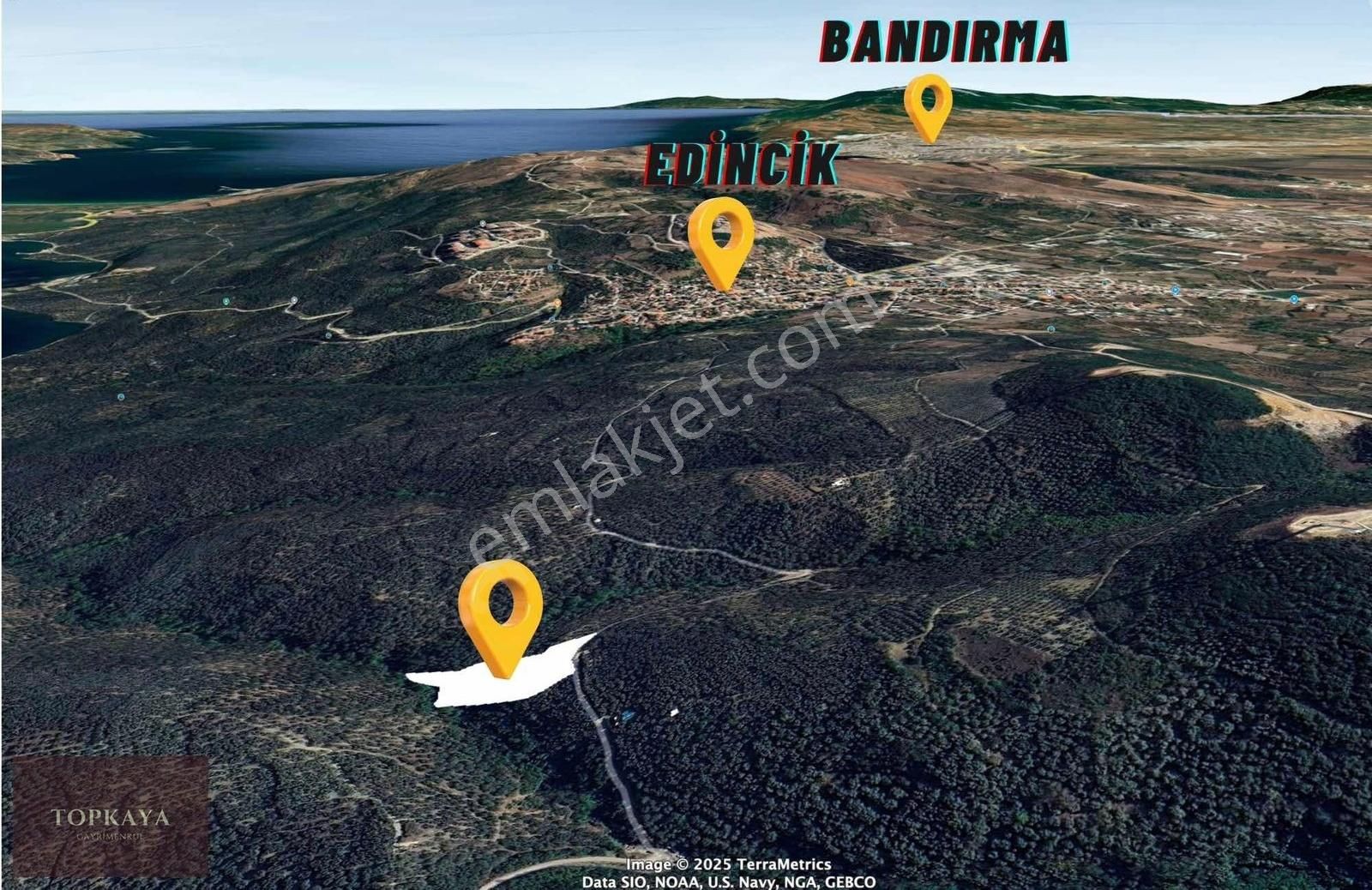 Bandırma Edincik Satılık Zeytinlik Balıkesir Bandırma Edincik 8.161m2 Yola Cephe Zeytinlik