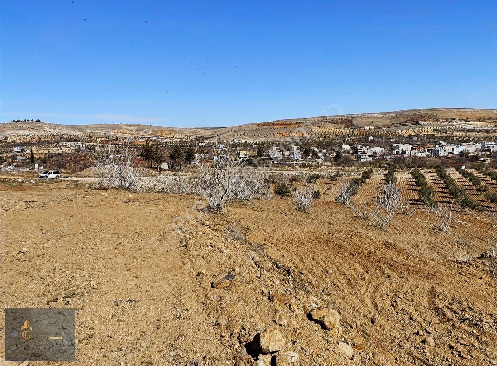 Şahinbey Gülpınar Satılık Tarla Cennet Gyo'dan Gülpınar'da 3717m^ Yatırımlık Veya Bağevlik Arazi