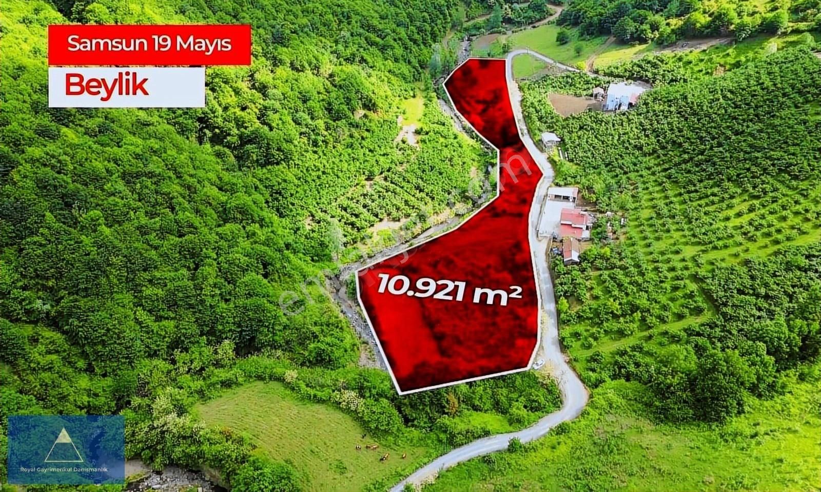 19 Mayıs Beylik Satılık Tarla Samsun 19 Mayıs Beylikte 11 Bin M2 Yatırımlık Fırsat Tarla