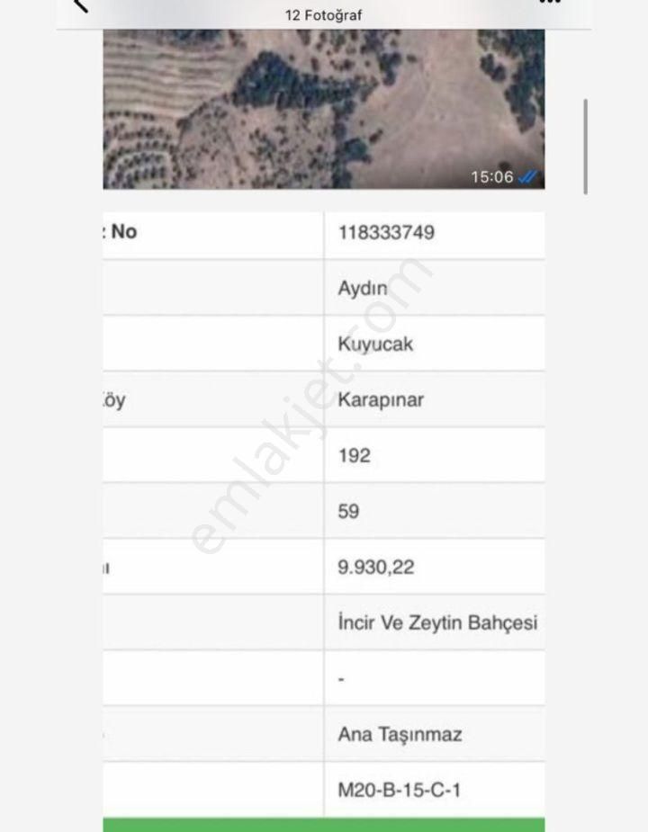 Dönertaş Emlak 10 Dönüm Kuyucak Karapınarda İncir Zeytin - Görsel 8