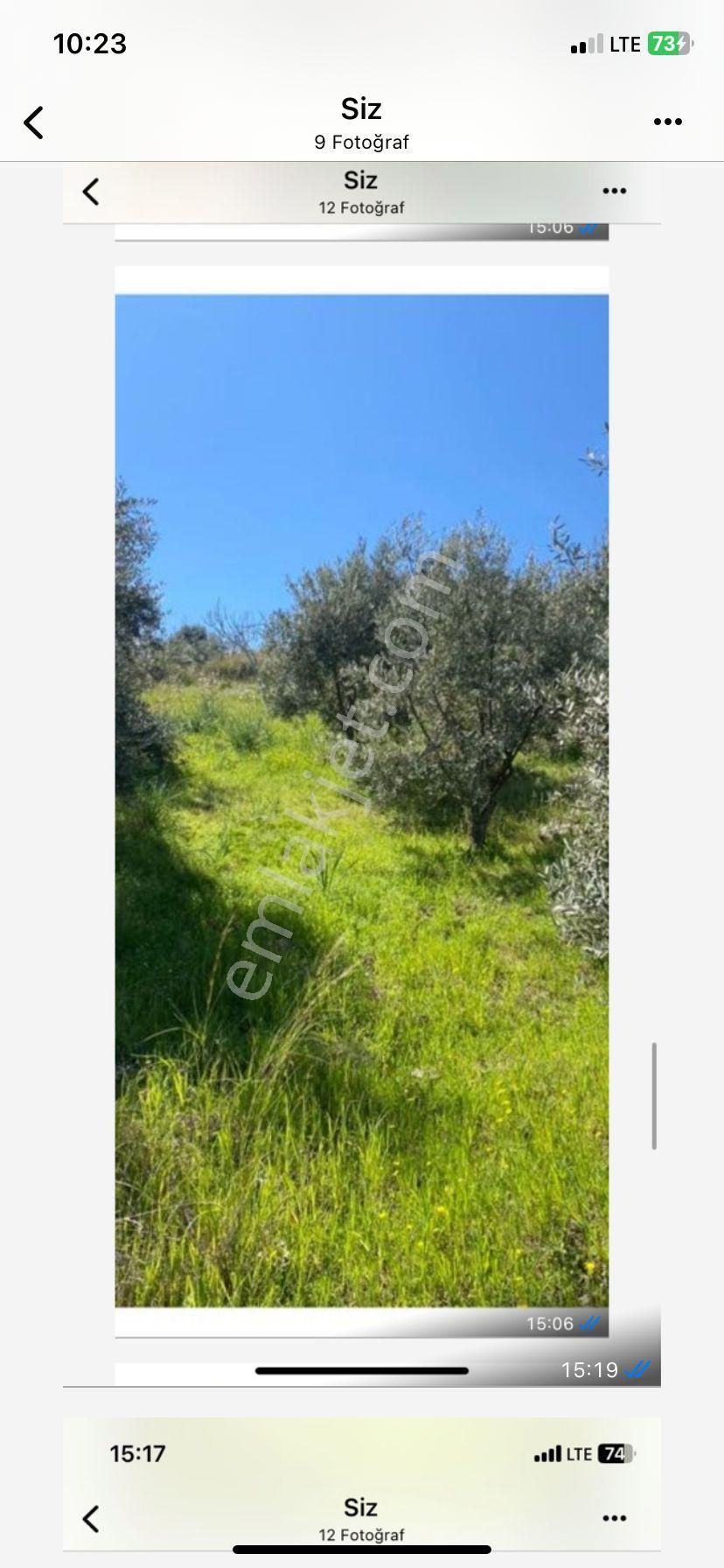 Dönertaş Emlak 10 Dönüm Kuyucak Karapınarda İncir Zeytin - Görsel 10