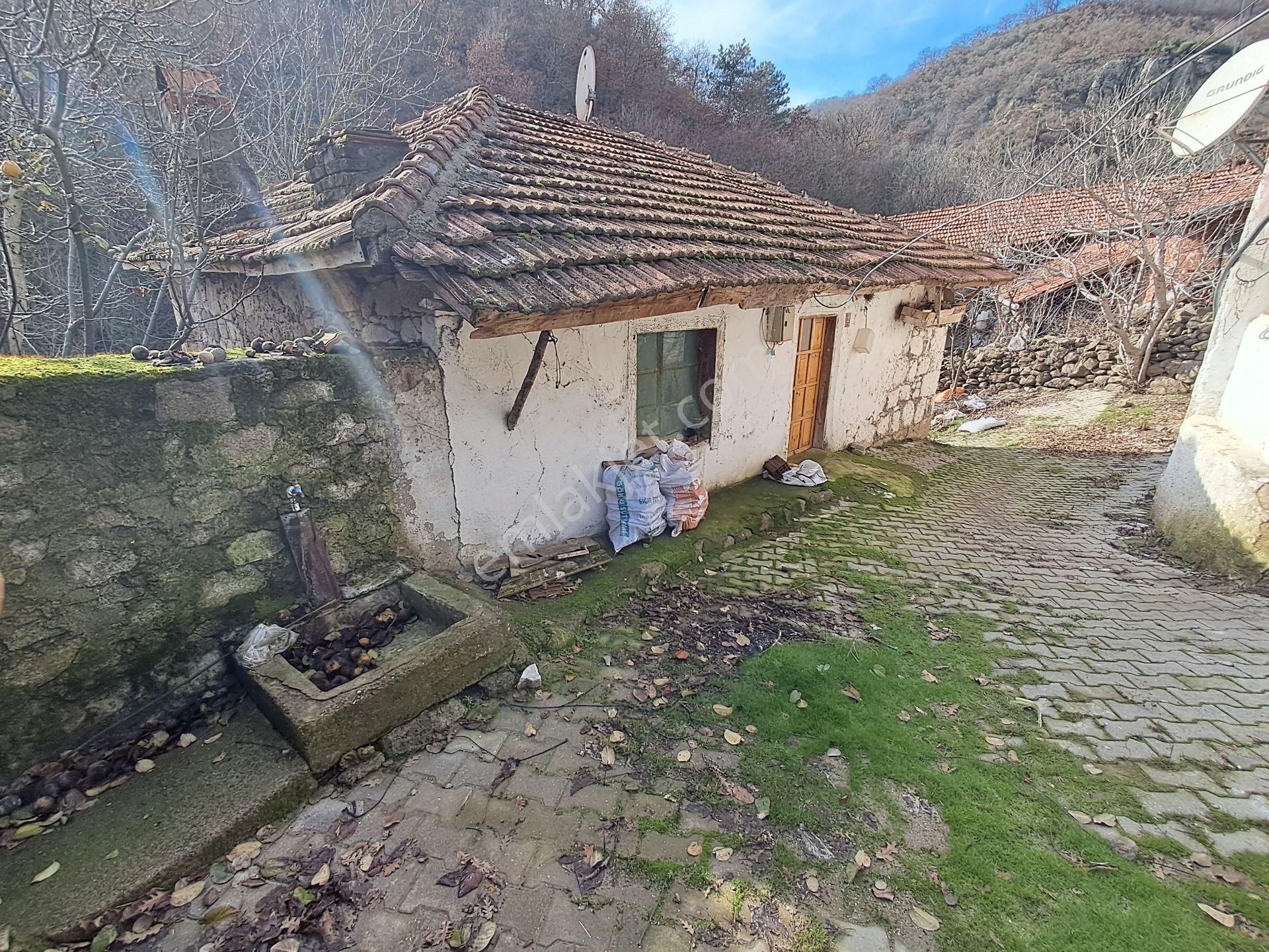 Eryılmaz Gayrimenkul'den Havran Kobaklar Köyünde 360 M2 Satılık Müstakil Bahçeli Taş Ev - Görsel 3