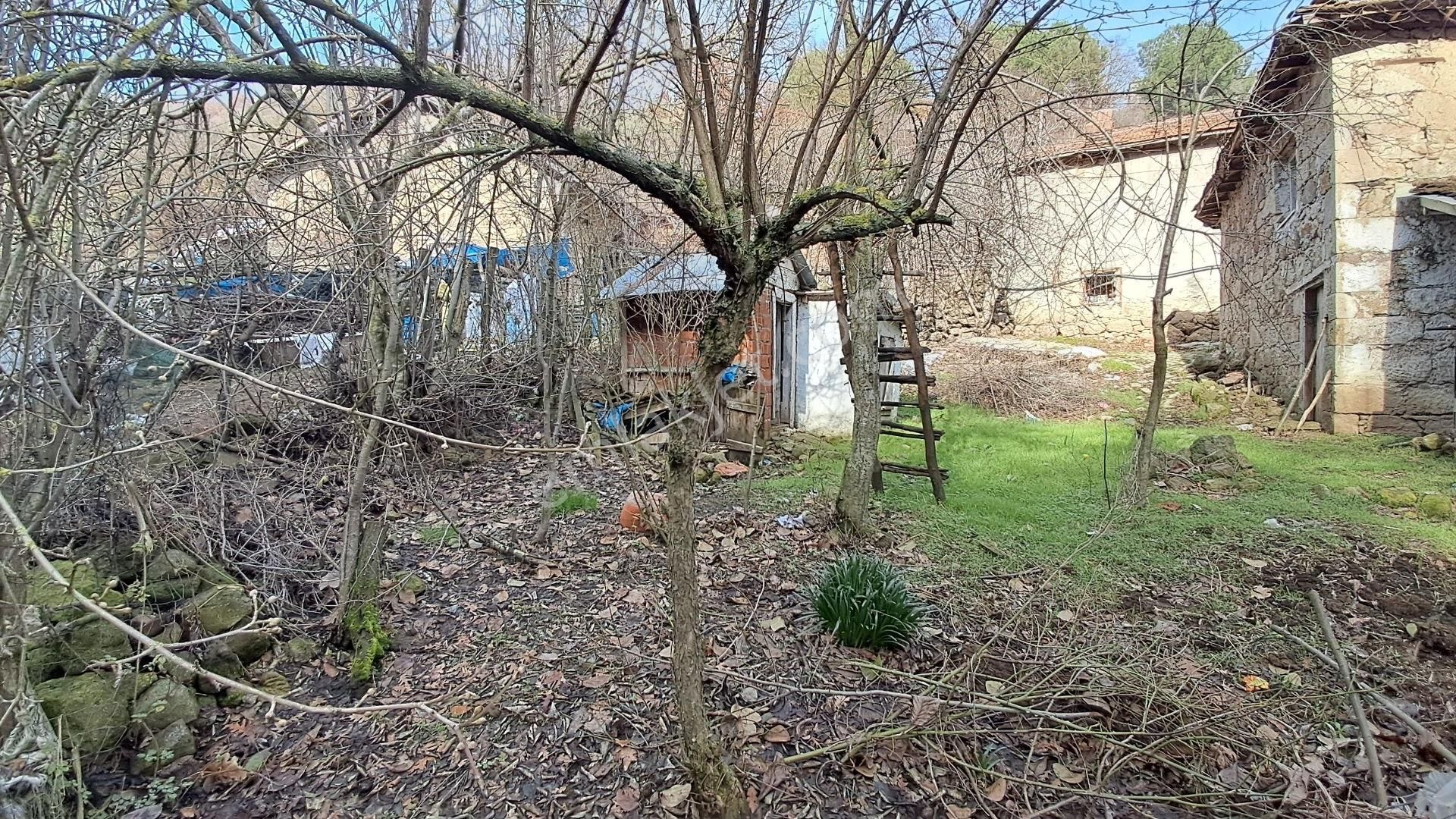 Eryılmaz Gayrimenkul'den Havran Kobaklar Köyünde 360 M2 Satılık Müstakil Bahçeli Taş Ev - Görsel 12