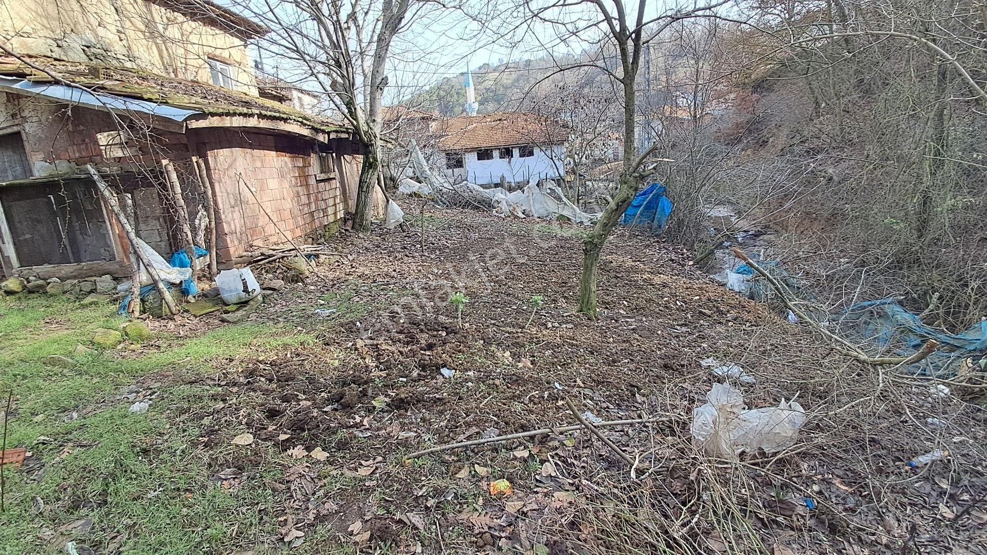 Eryılmaz Gayrimenkul'den Havran Kobaklar Köyünde 360 M2 Satılık Müstakil Bahçeli Taş Ev - Görsel 9