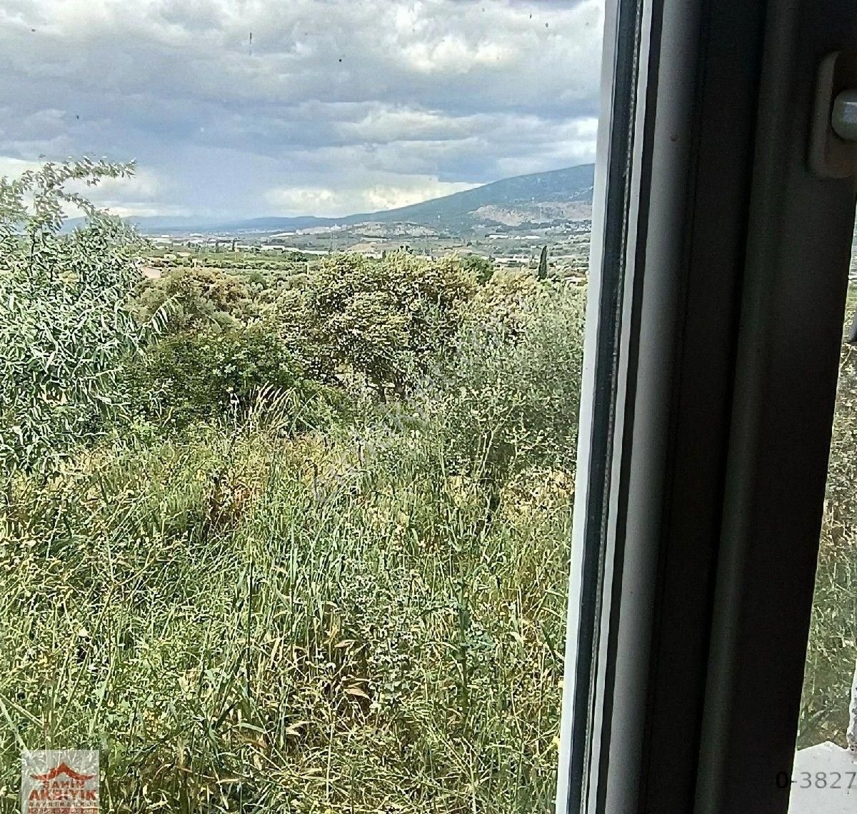 Kemalpaşa Armutlu 5 Dönüme Yakın Bağ Ve Evi 2+1 100 M2 - Görsel 34