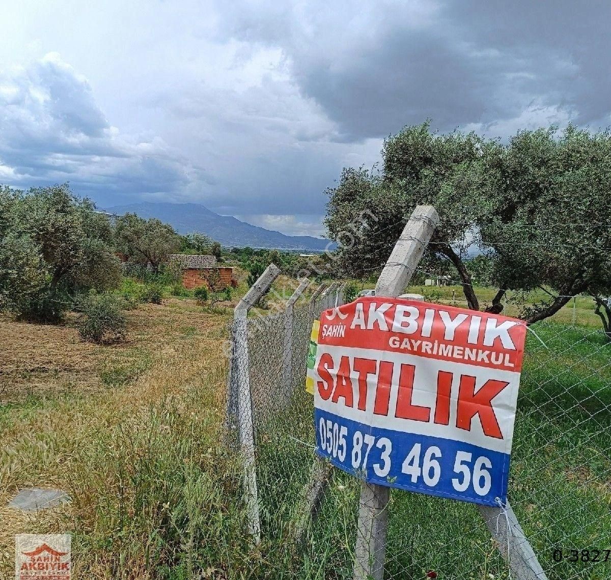 Kemalpaşa Armutlu 5 Dönüme Yakın Bağ Ve Evi 2+1 100 M2 - Görsel 8