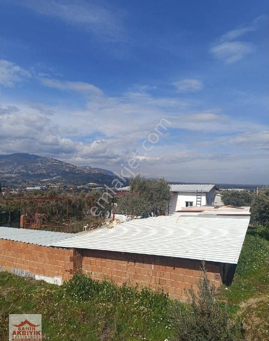 Kemalpaşa Armutlu 5 Dönüme Yakın Bağ Ve Evi 2+1 100 M2 - Görsel 7