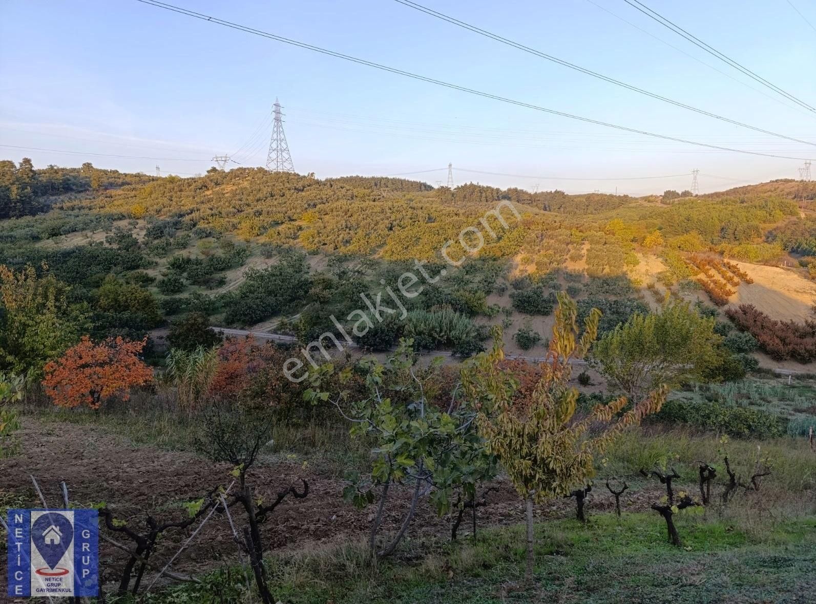 Osmangazi Çağlayan Satılık Tarla Çağlayan Köyde Satılık Yatırımlık Bahçe