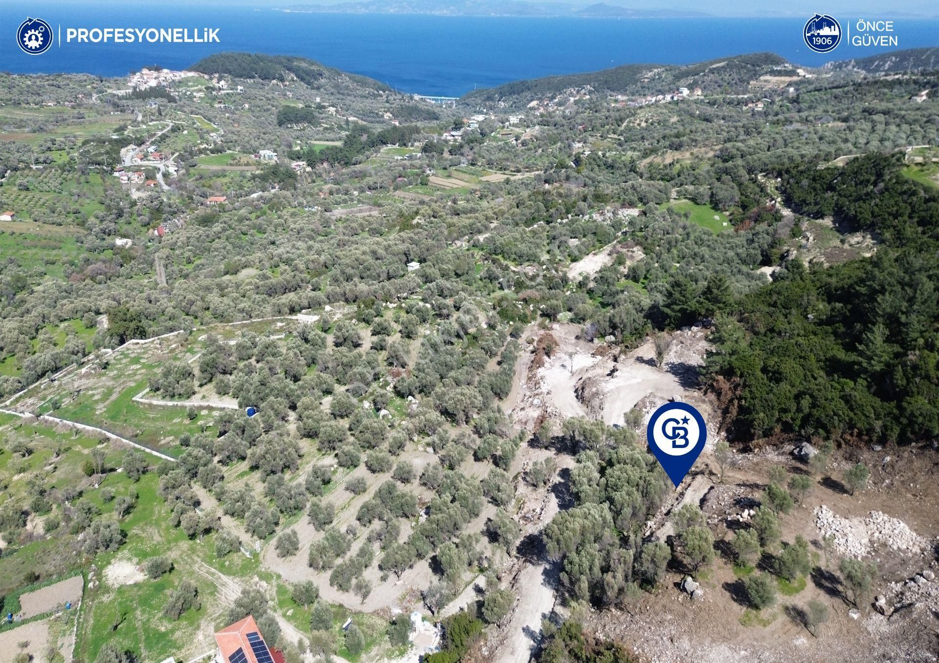 Karaburun Eğlenhoca'da Full Deniz Manzaralı 7160 M2 Tarla - Görsel 19