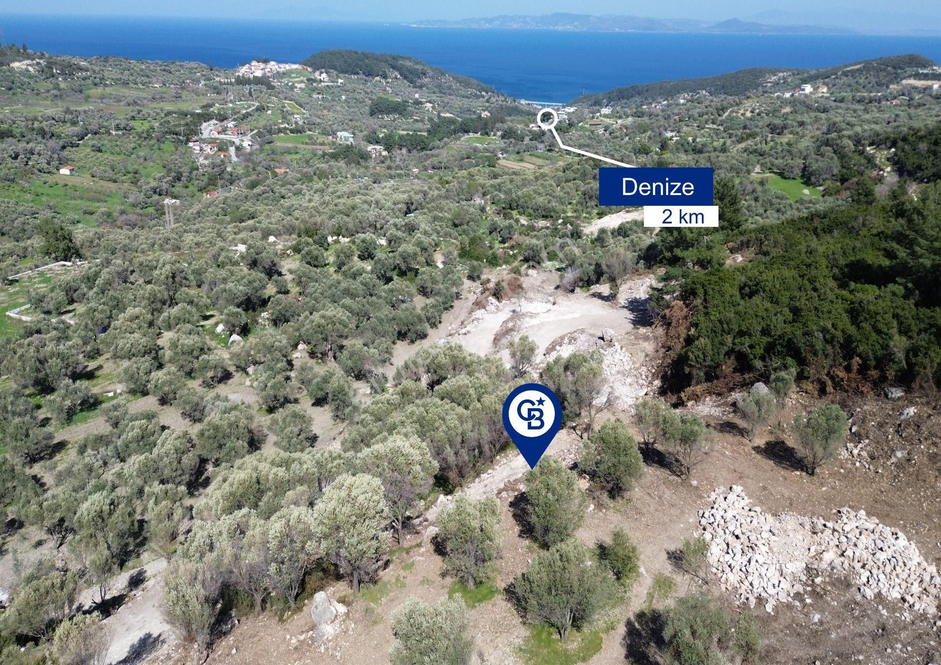 Karaburun Eğlenhoca'da Full Deniz Manzaralı 7160 M2 Tarla - Görsel 15