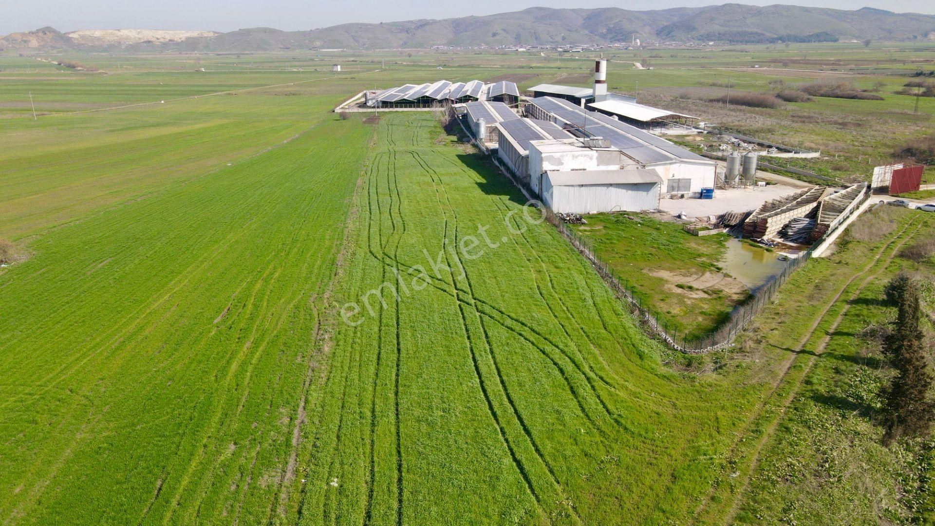 Bursa-balıkesir Yolunda Yola Cepheli 11.256m² Satılık Arazi - Görsel 15