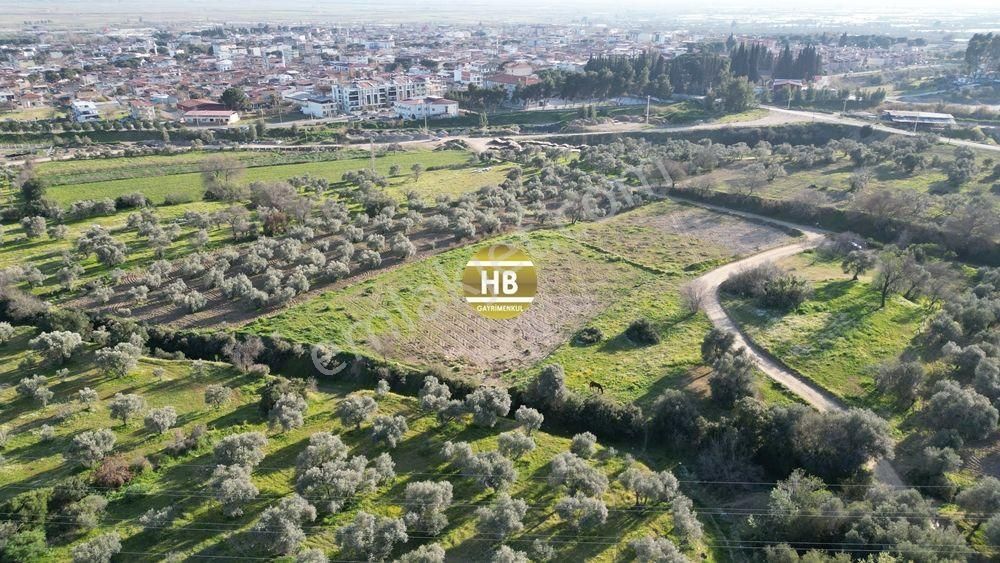 Sultanhisar Atça Satılık Bağ & Bahçe Hb'den Satılık Bahçe, İmar Sınırında/yol Cepheli/mükemmel Yatırım Fırsatı