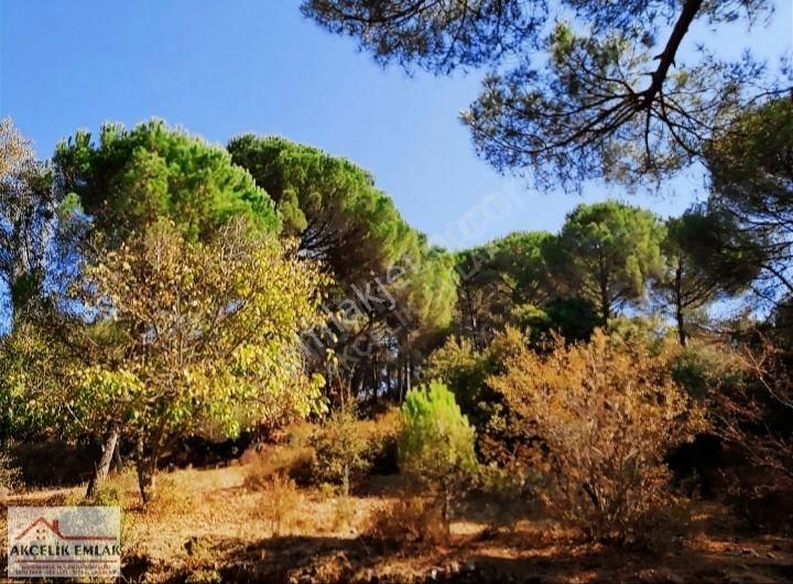 Aydın Koçarlı Birci Mah. Satılık Tarla - Görsel 4