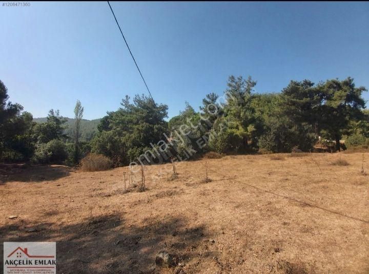 Aydın Koçarlı Birci Mah. Satılık Tarla - Görsel 6