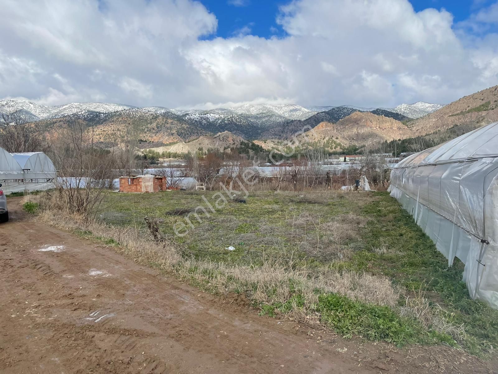 Mihalgazi Sakarıılıca Satılık Bağ & Bahçe Sakarıılaca'da Sakarya Nehir Kenarı Satılık Bağ