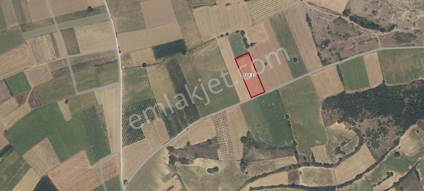 Aydınlık Emlaktan Bursa İnegöl Şipali'de Satılık 5.200 Metre Kare Tarla - Görsel 5