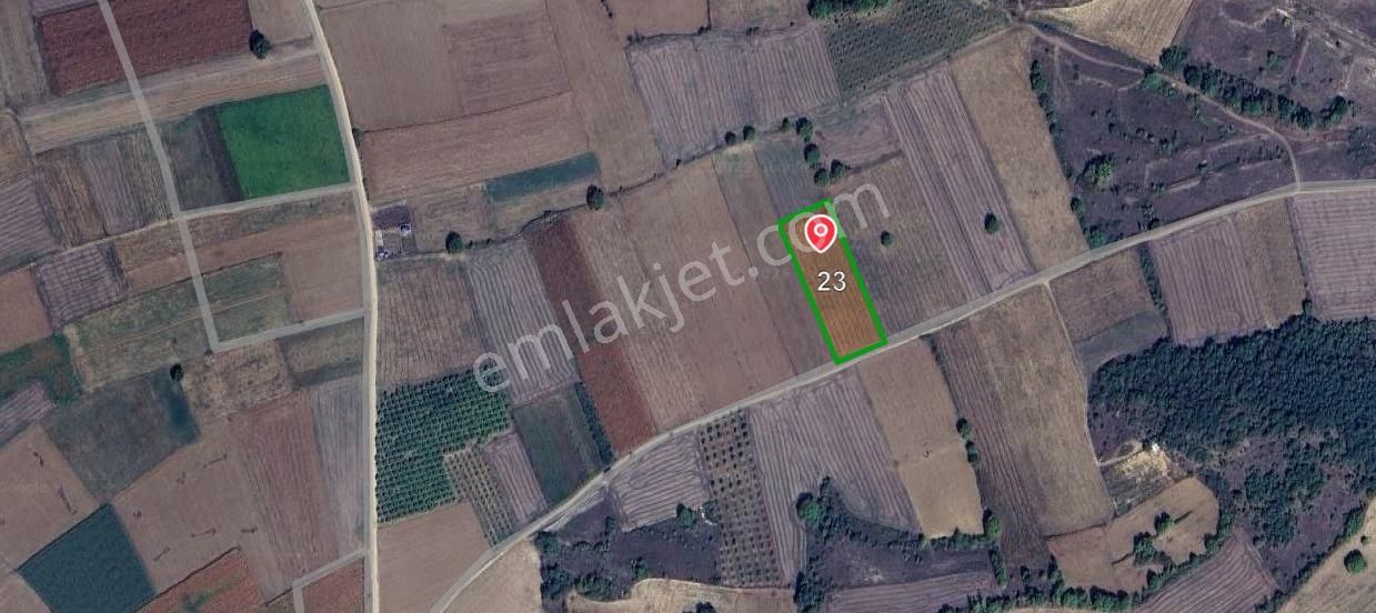 Aydınlık Emlaktan Bursa İnegöl Şipali'de Satılık 5.200 Metre Kare Tarla - Görsel 4