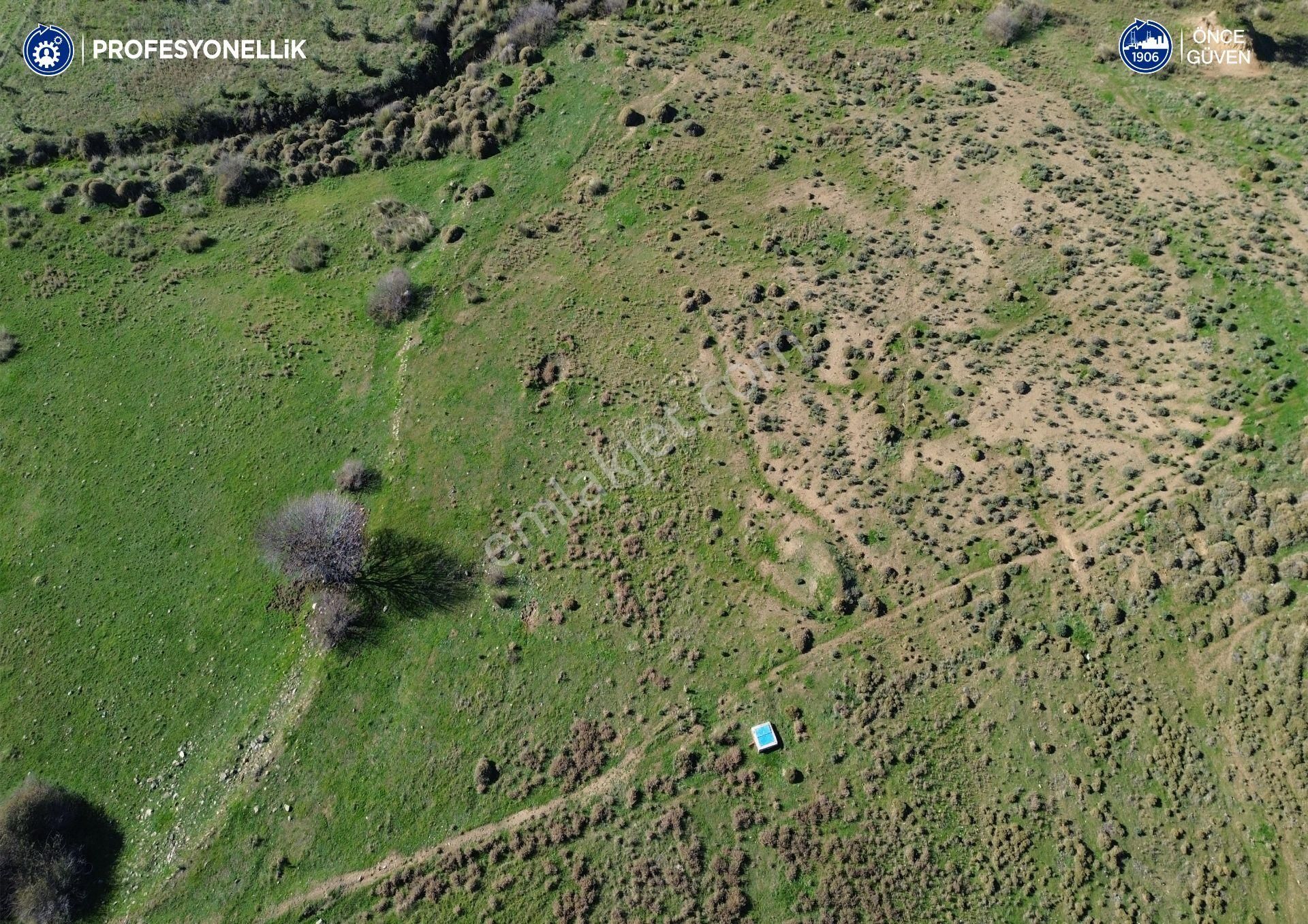 Karaburun Parlak Köyü'nde 1101 M2 Satılık Tarla - Görsel 13