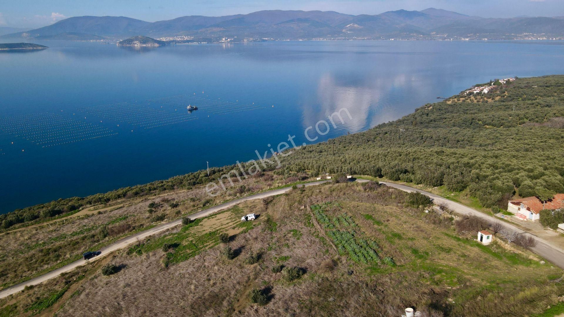 Bandırma Deniz Manzaralı 268 M² Satılık Arsa - Görsel 3
