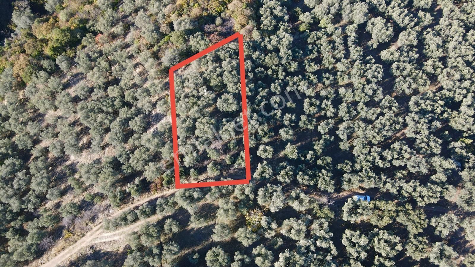 Bandırma Edincik' Te Deniz Manzaralı 955 M² Satılık Zeytinlik - Görsel 8