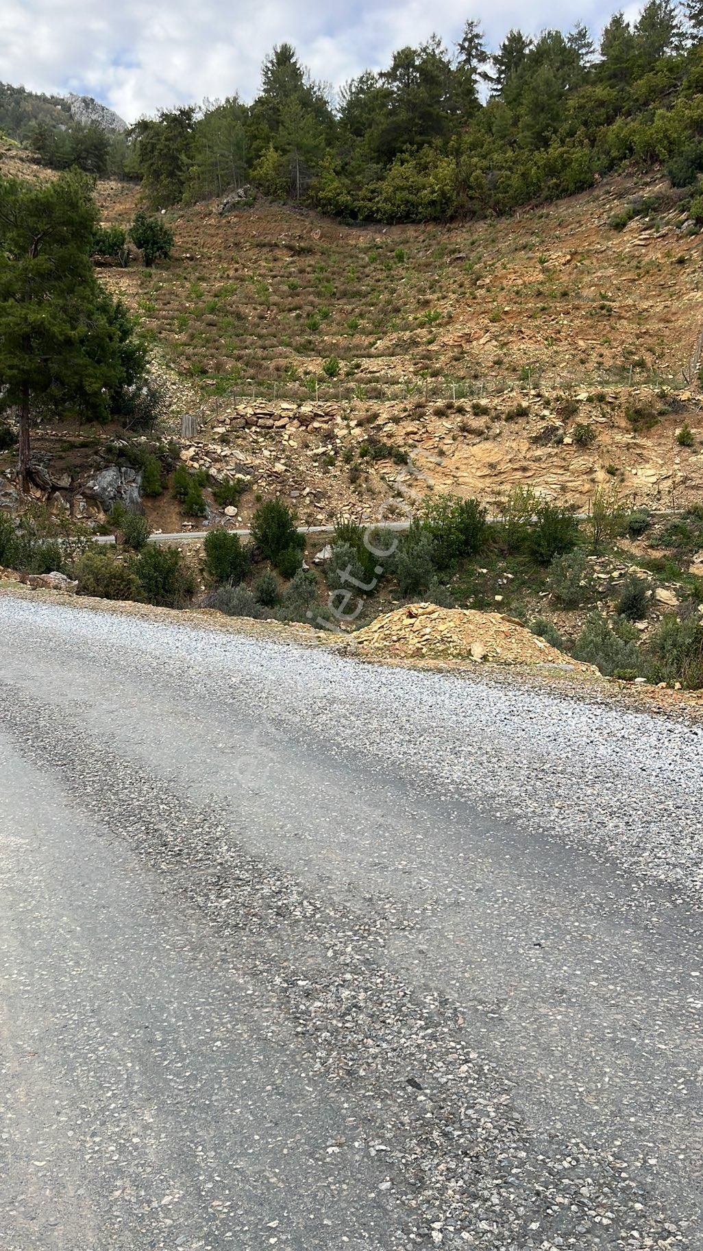 Antalya Gazipaşa Yenıguney Yola Sıfır Tarla Satılık! - Görsel 3