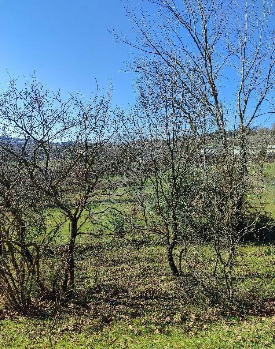 Pendik Kurtdoğmuş Satılık Tarla Pendik Kurtdoğmuş Köyünde Satılık Tarla