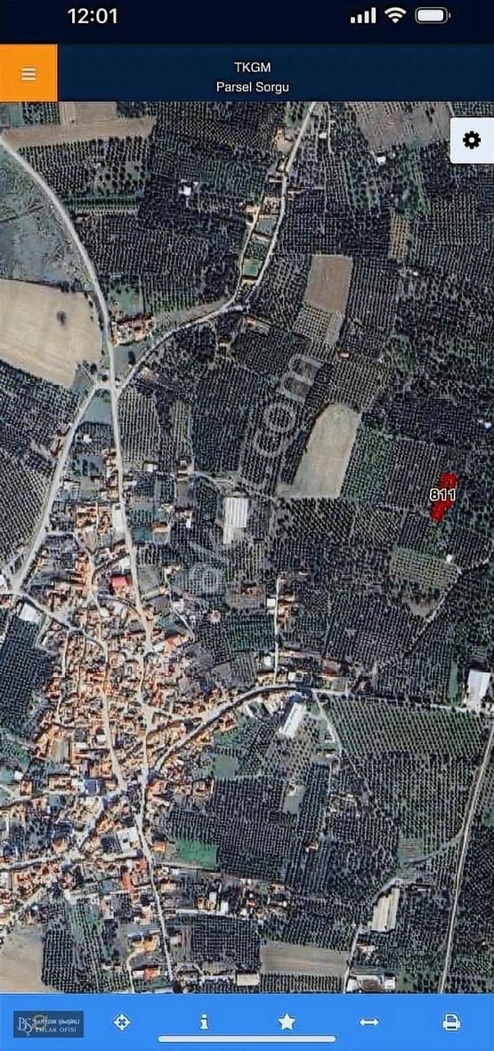 Bahadır Şimşirli'den Medarda Köye Yakın Zeytinli Bahçe - Görsel 3