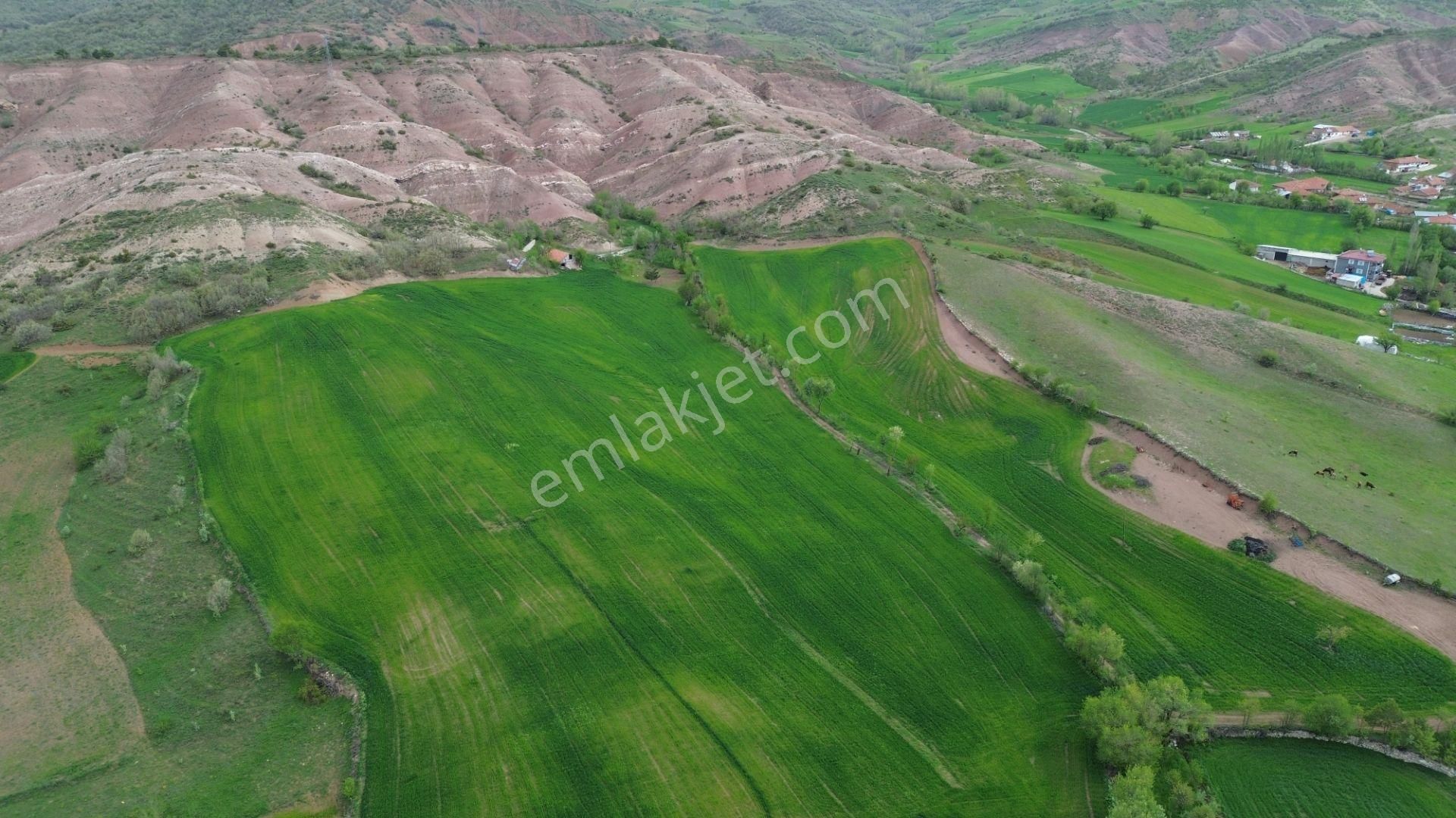 Kapsül Yatırımdan Artova Ağmusa Mahallesinde 1281 M2 Tarla - Görsel 5
