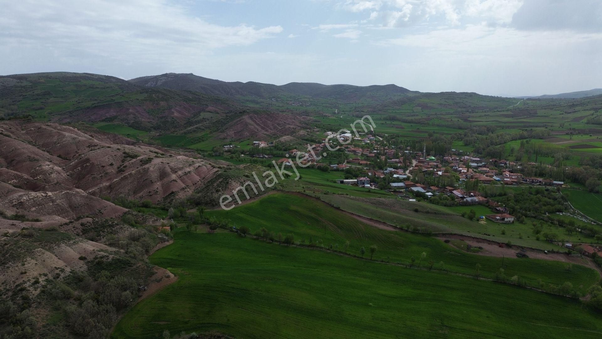 Kapsül Yatırımdan Artova Ağmusa Mahallesinde 1281 M2 Tarla - Görsel 2