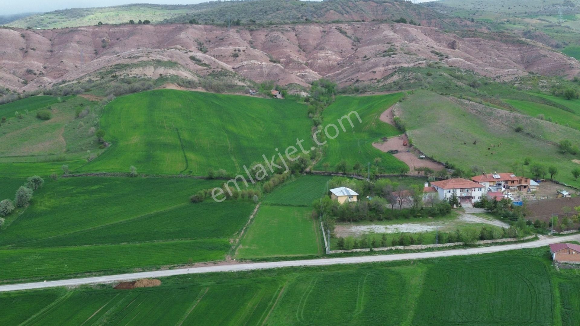 Kapsül Yatırımdan Artova Ağmusa Mahallesinde 1281 M2 Tarla - Görsel 10