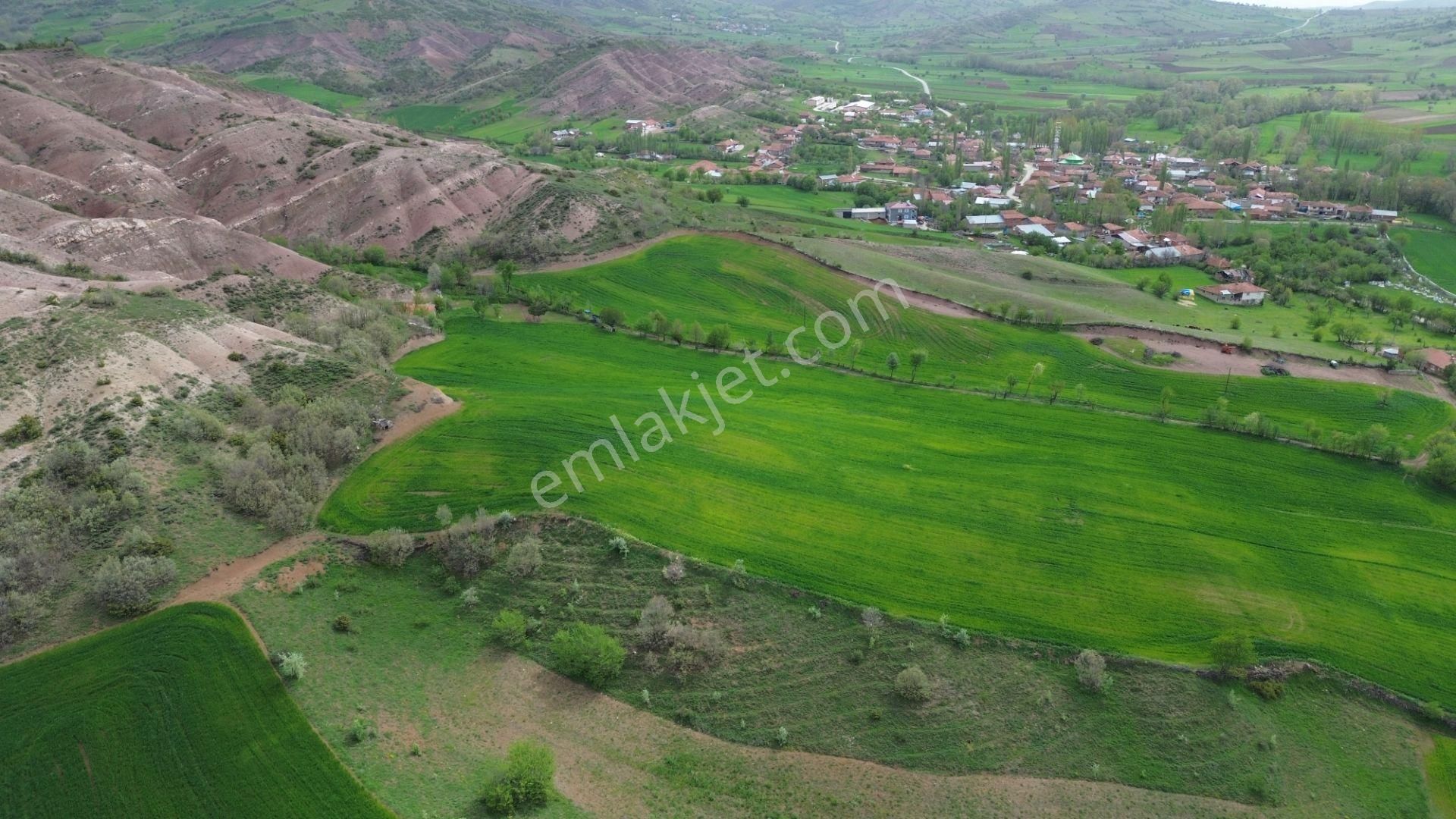 Kapsül Yatırımdan Artova Ağmusa Mahallesinde 1281 M2 Tarla - Görsel 3