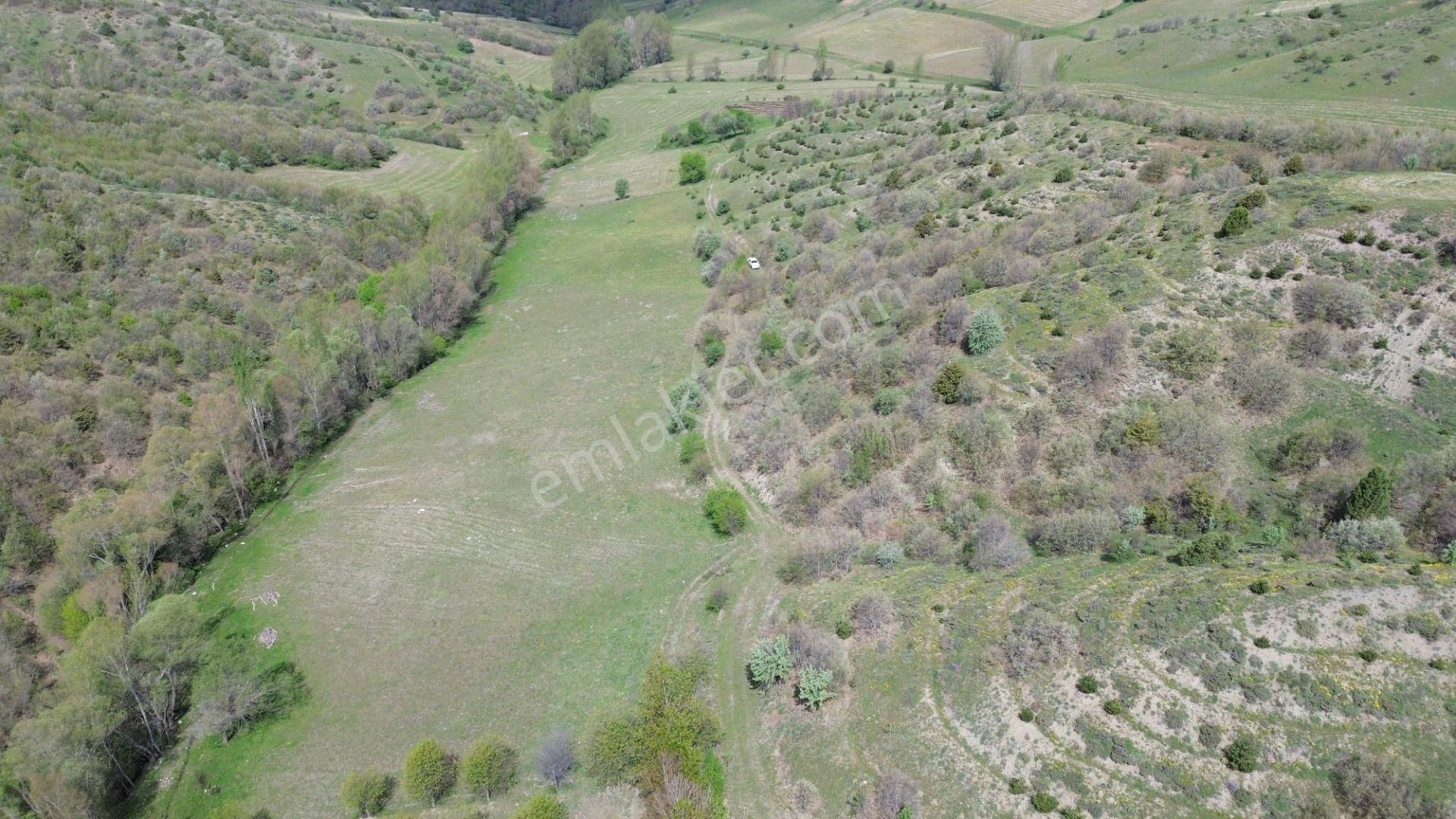 7300 M² Tarla / Tokat / Artova / Ağmusa Mah - Görsel 5