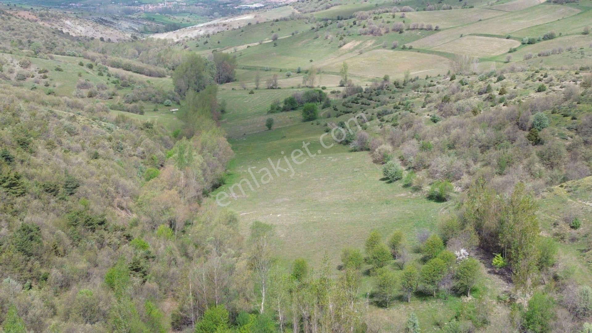 7300 M² Tarla / Tokat / Artova / Ağmusa Mah - Görsel 10