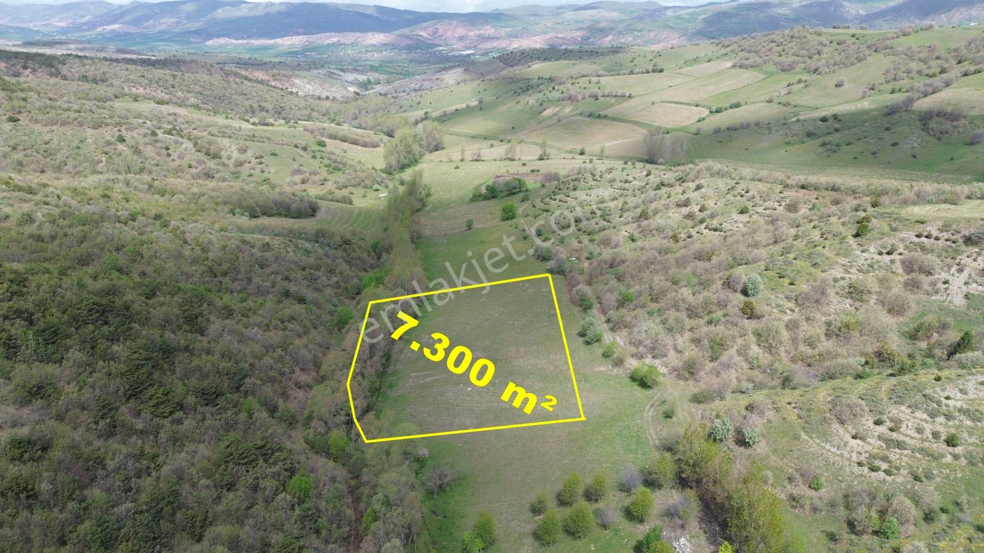 7300 M² Tarla / Tokat / Artova / Ağmusa Mah - Görsel 3