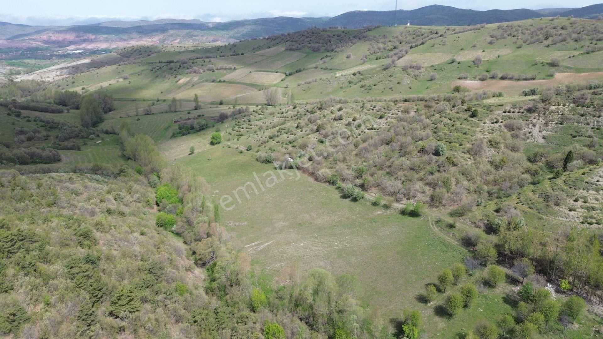 7300 M² Tarla / Tokat / Artova / Ağmusa Mah - Görsel 6