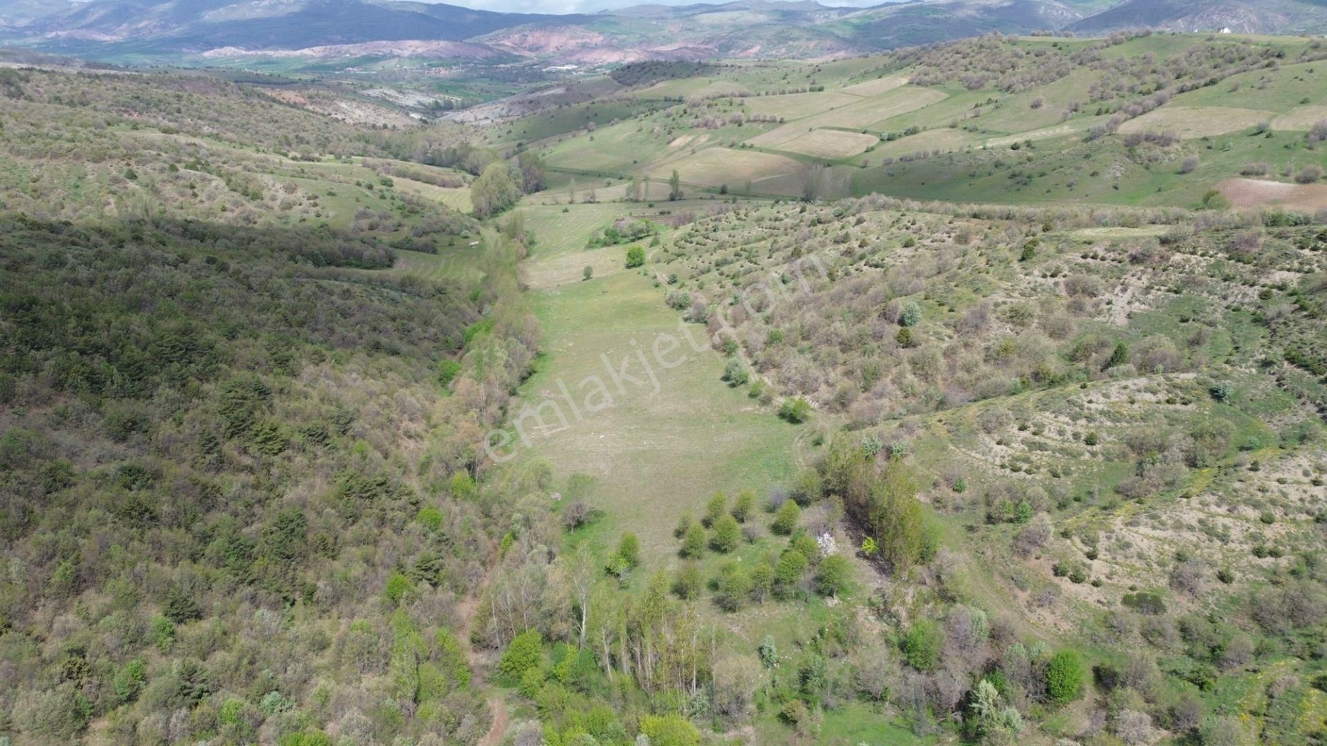 7300 M² Tarla / Tokat / Artova / Ağmusa Mah - Görsel 12