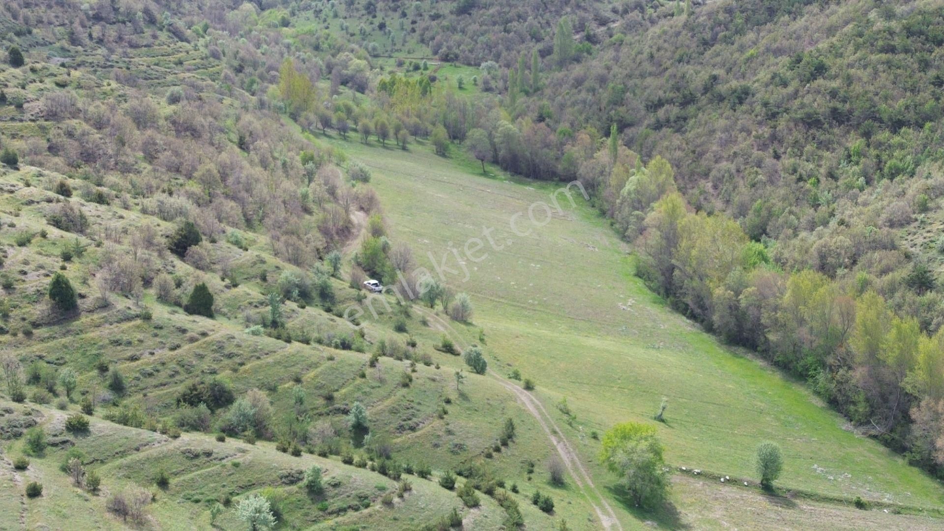 7300 M² Tarla / Tokat / Artova / Ağmusa Mah - Görsel 8